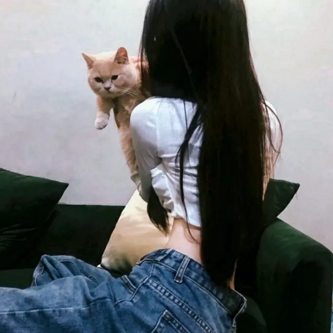 舞会的名册